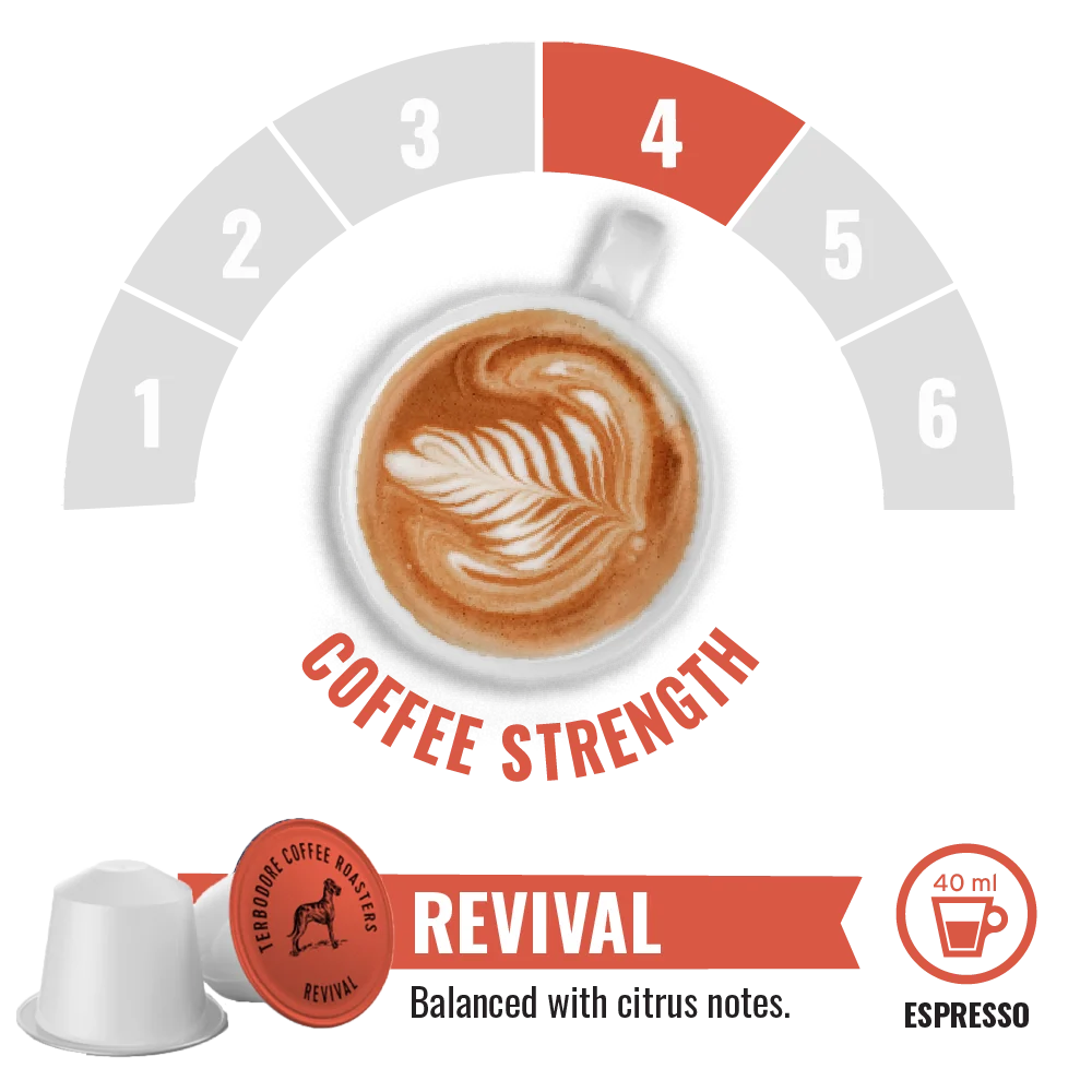 Terbodore Revival – 10 Compostable Nespresso compatible coffee capsules - Image 3